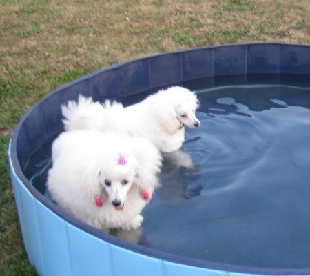 ...vody je po bříška...